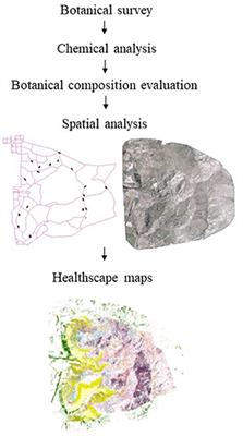 Applying spatio-chemical analysis to grassland ecosystems for the illustration of chemoscapes and creation of healthscapes